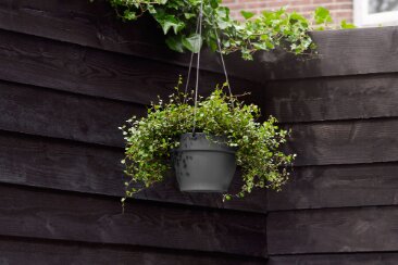 Elho vibia campana hangschaal 26cm - afbeelding 4