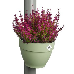 Elho Vibia Campana Regenpijpbakje 22 cm Groen - afbeelding 3