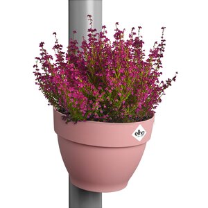 Elho Vibia Campana Regenpijpbakje 22 cm Roze - afbeelding 3