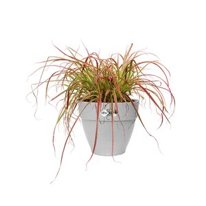 Elho vibia campana rond 20cm living concrete - afbeelding 2