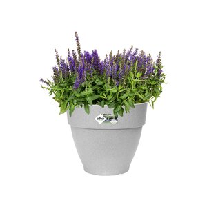 Elho vibia campana rond 30cm living concrete - afbeelding 2