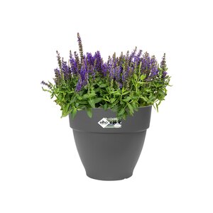 Elho vibia campana rond 35cm antraciet - afbeelding 2