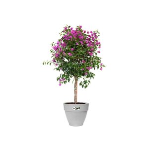 Elho vibia campana rond 47cm living concrete - afbeelding 2