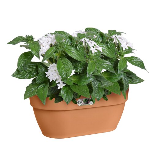 Elho vibia campana wall basket 35cm terra - afbeelding 2