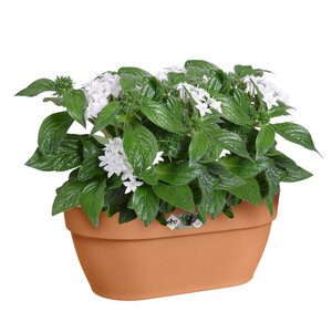 Elho vibia campana wall basket 35cm terra - afbeelding 2