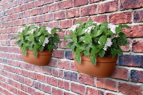 Elho vibia campana wall basket 35cm terra - afbeelding 4