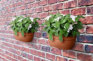 Elho vibia campana wall basket 35cm terra - afbeelding 4