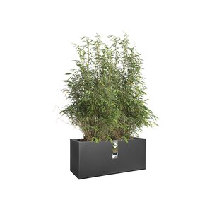 Elho vivo matt finish lang wielen 90cm - afbeelding 2