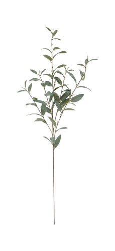 Eucalyptus 5-Taks Grijs/Groen 103 cm