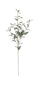 Eucalyptus 5-taks grijs/groen 103 cm