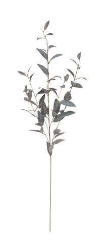 Eucalyptus 5-taks grijs/paars 103 cm