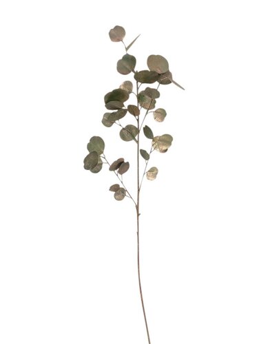 Eucalyptus H 86 cm metallic groen/koper