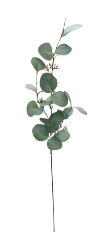 Eucalyptus Met Bloesem L 76 cm