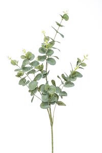 Eucalyptus spray green/grey 75cm