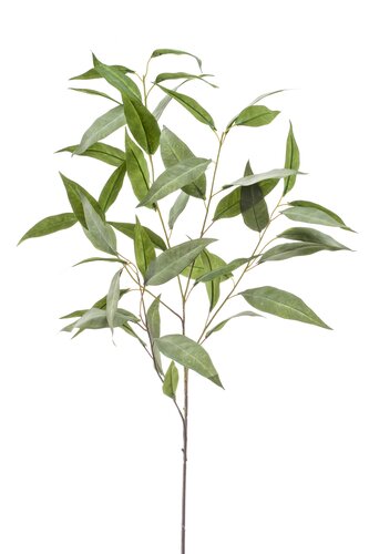Eucalyptus spray x5 grey 93cm