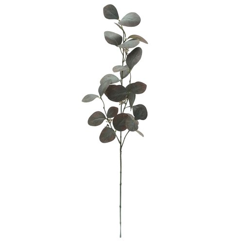 Eucalyptus tak met bloesem 76cm - afbeelding 1