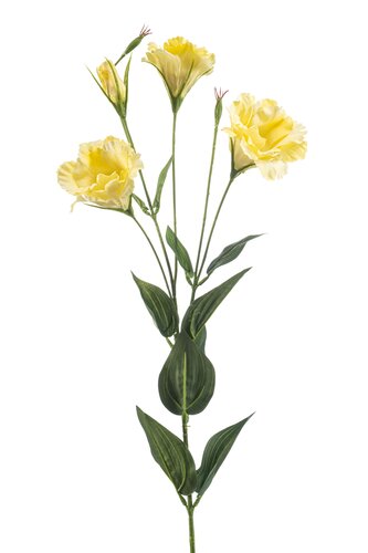 Eustoma Tak Zijde - 82cm Geel