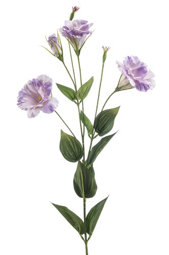 Eustoma Tak Zijde - 82cm Lila