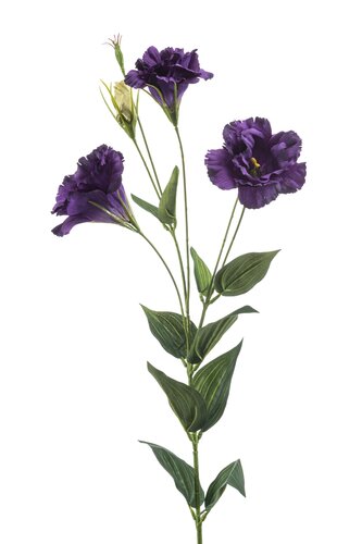 Eustoma Tak Zijde - 82cm Paars