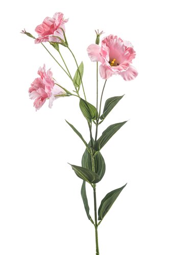 Eustoma Tak Zijde - 82cm Roze