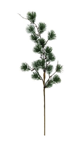 Evergreen Deco tak 'Pinus Negishi' - L 65 cm