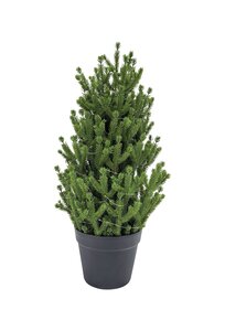 Evergreen Kunstkerstboom Conica - H 60 cm - afbeelding 1