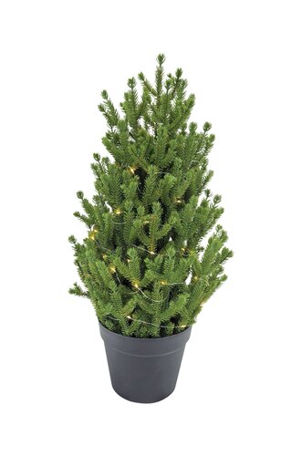 Evergreen Kunstkerstboom Conica - incl 50 lampjes - H 60 cm - afbeelding 1
