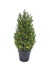 Evergreen Kunstkerstboom Conica - incl 80 lampjes - H 70 cm - afbeelding 1