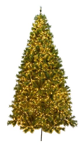 Evergreen Kunstkerstboom Everest premium - incl 3600 lampjes - H 210 x D 115 cm