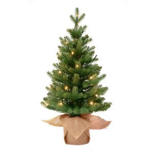 Evergreen Kunstkerstboom Janga - incl 30 lampjes - H 60 x D 31 cm - afbeelding 1