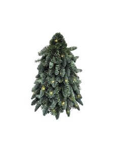 Evergreen Kunstkerstboom Nobilis - incl 50 lampjes - D 40 x H 40 cm