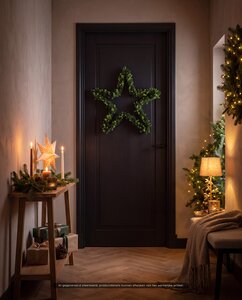Evergreen Kunstster Makalu groen - D 70 cm - afbeelding 2