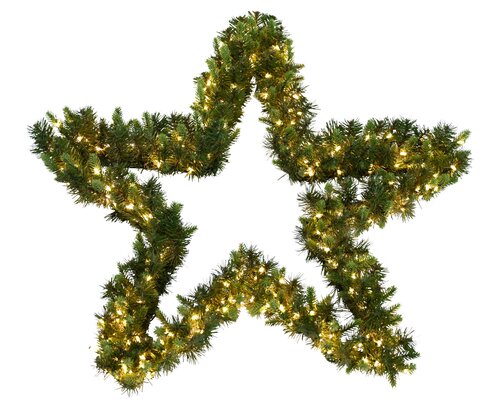 Evergreen Makalu Kunstster met 500 lampjes - D70cm Groen - afbeelding 1