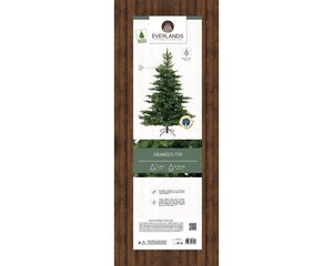 Everlands Kunstkerstboom Grandis fir - H 180 x D 132 cm - afbeelding 4