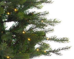 Everlands Kunstkerstboom Grandis outdoor - incl 100 lampjes - H 120 cm - afbeelding 2