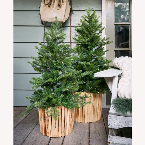 Everlands Kunstkerstboom Grandis outdoor - incl 100 lampjes - H 120 cm - afbeelding 3