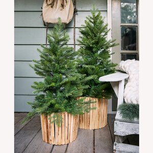 Everlands Kunstkerstboom Grandis outdoor - incl 100 lampjes - H 120 cm - afbeelding 3