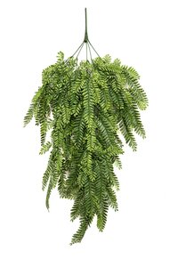 Fern Hanging Bos Fr/UV Tak Zijde - 80cm