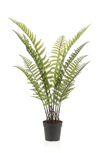 Fern Woodwardia UV In Pot Tak Zijde - 90cm