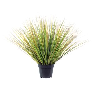 Festuca groen 75 cm