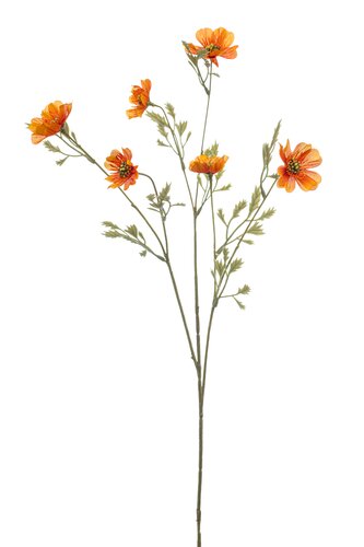 Ficaria spray x3 orange 76cm
