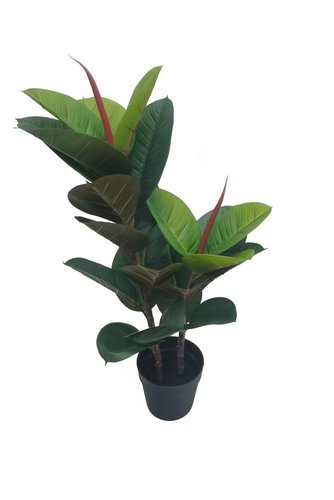 Ficus Elastica 70cm kunstplant
