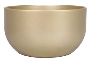 Floran Schaal boule d26 h14cm parelgoud 3xes/12