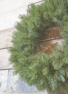 Forest Frosted krans green - d90cm - afbeelding 4