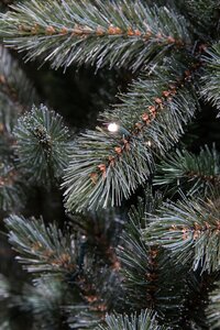 Forest Frosted x-mas tree led newgrowth blue - h185xd130cm - afbeelding 3