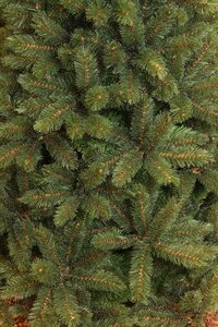 Forest Frosted x-mas tree slim green - h260xd140cm - afbeelding 2