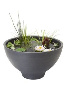 Fountain Pond round 55x32 cm