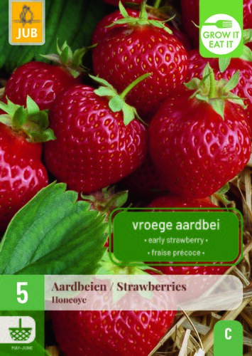 Fragaria / aardbeien honeoye 5st