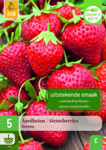 Fragaria / aardbeien korona 5st