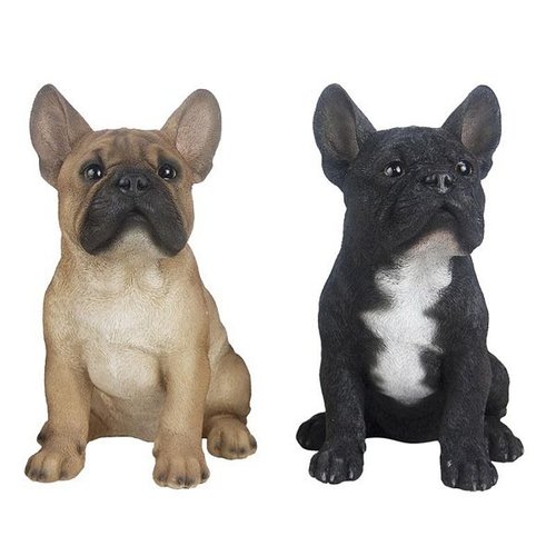 Franse Bulldog zittend ass.